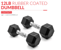 5lb 8lb 10lb 12lb 15lb Coated Rubber Hex Dumbbell, Pair of 2
